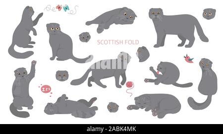 Cartoon cat characters collection. Scottish fold`s poses and emotions set. Flat color simple style design. Vector illustration Stock Vector